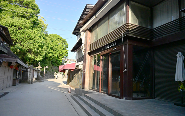 �{���̃X�^�[�o�b�N�X�R�[�q�[